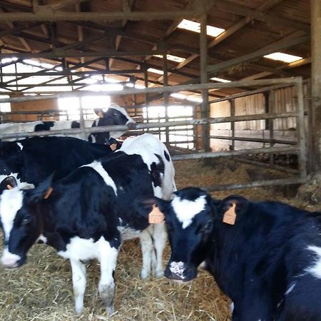Charmante Maison A La Ferme Valderies 外观 照片