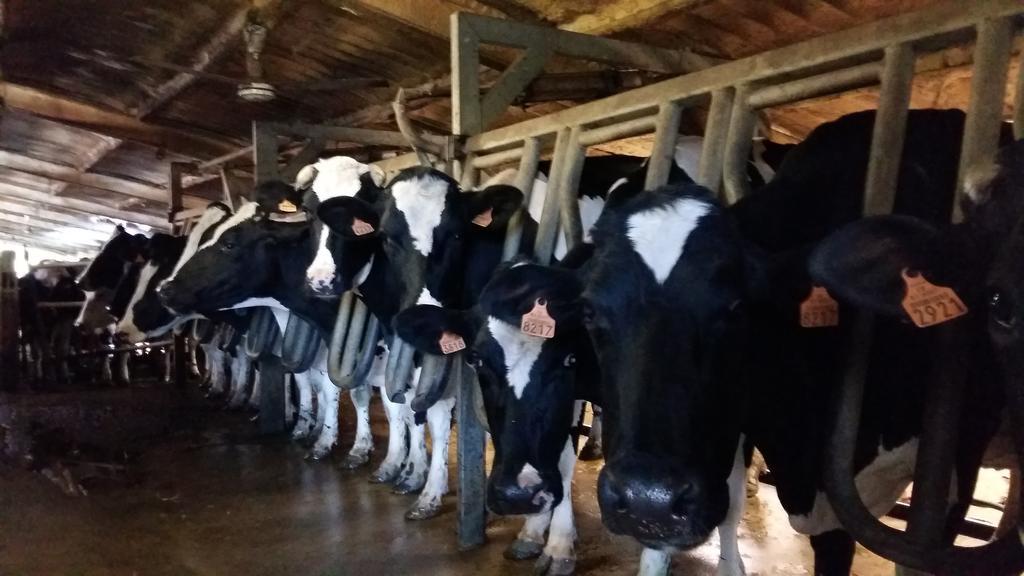 Charmante Maison A La Ferme Valderies 外观 照片