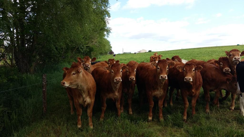 Charmante Maison A La Ferme Valderies 外观 照片