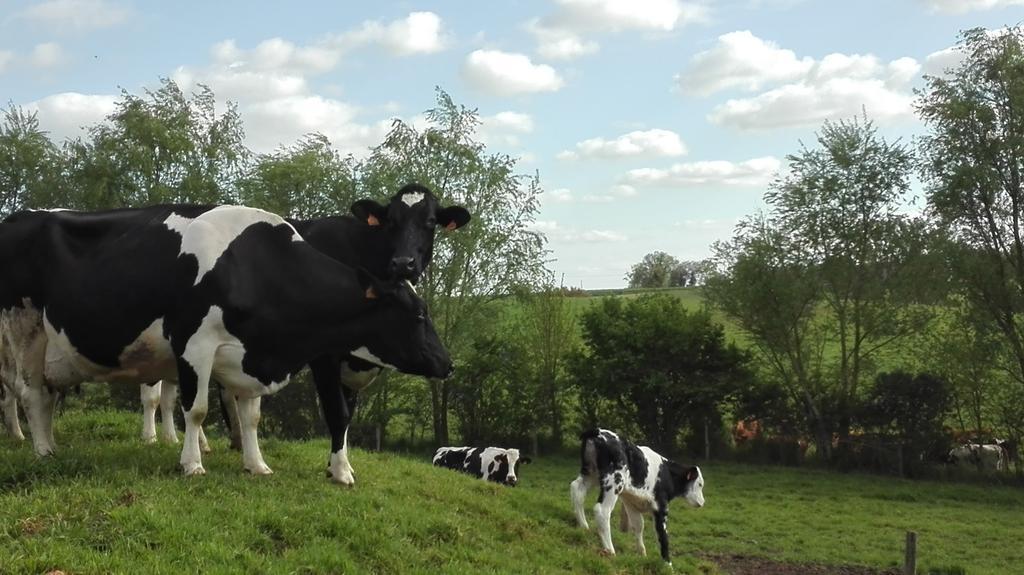 Charmante Maison A La Ferme Valderies 外观 照片