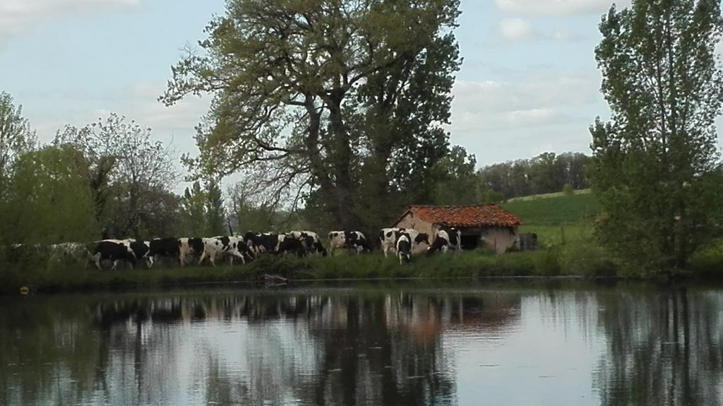 Charmante Maison A La Ferme Valderies 外观 照片