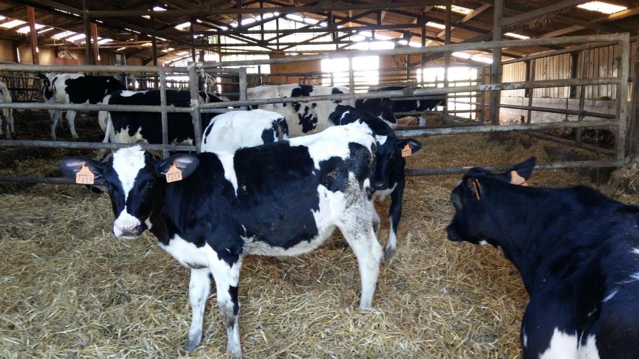 Charmante Maison A La Ferme Valderies 外观 照片
